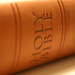 Bible Alive Aloud
